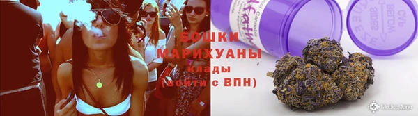 гидра Алексеевка