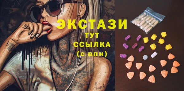 гидра Алексеевка