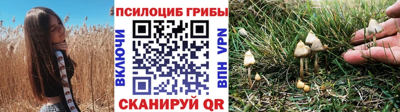 Псилоцибиновые грибы прущие грибы  наркошоп  Приозерск 
